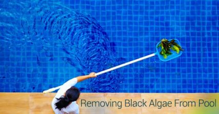 Remove Black Algae In A Pool